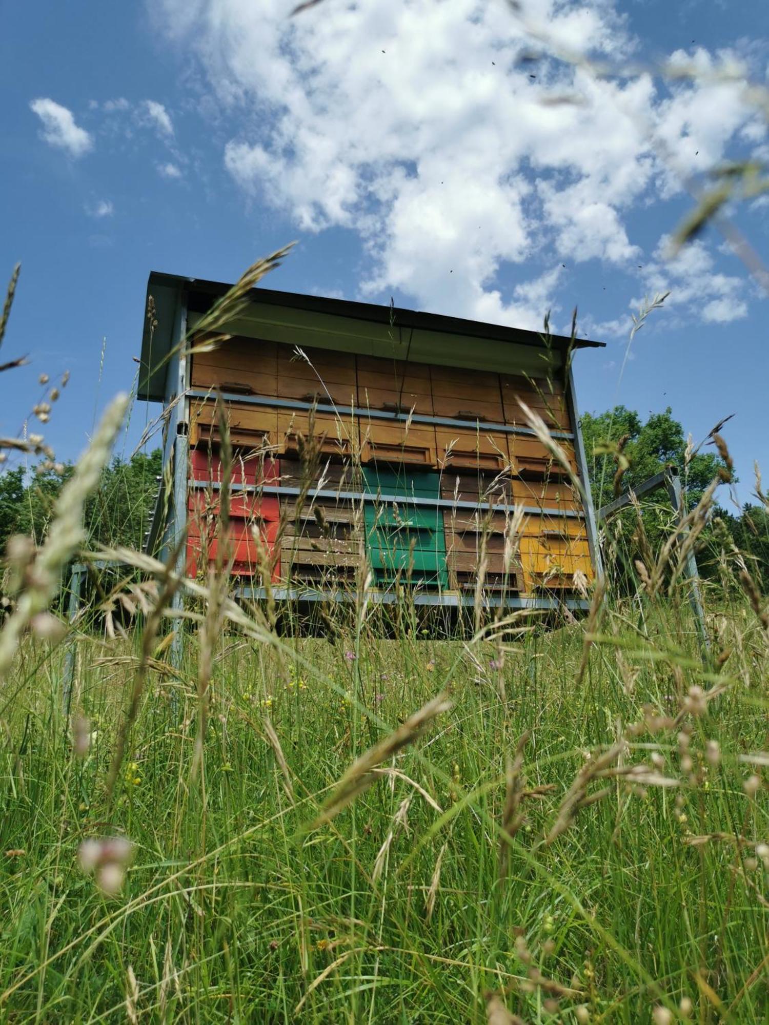 Farm Stay Pri Cepcovih Golac Exteriör bild